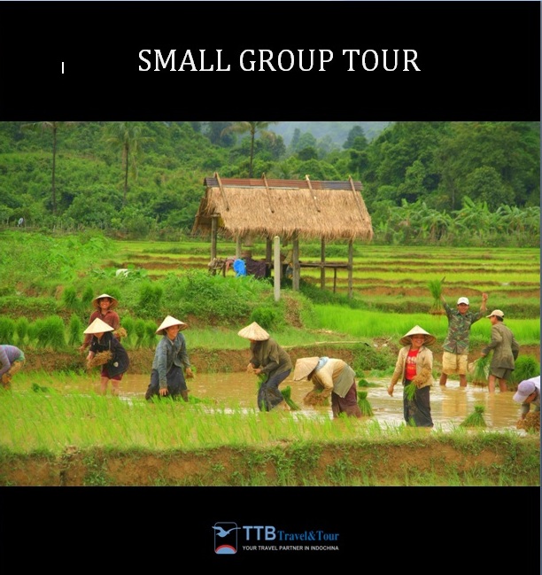 Small Group Tour