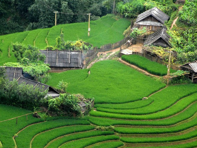 hilltribes of northern vietnam